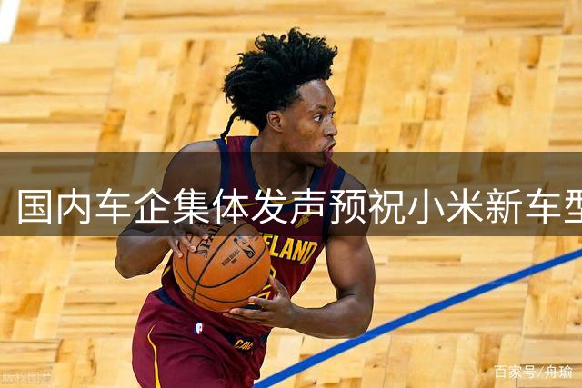 国内车企集体发声预祝小米新车型发布